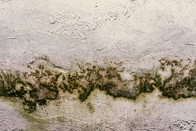 La microbiologie environnementale : comprendre les micro-organismes qui nous entourent